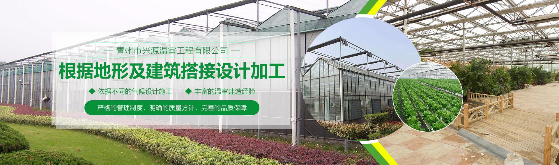 公司香港三级片麻豆视频